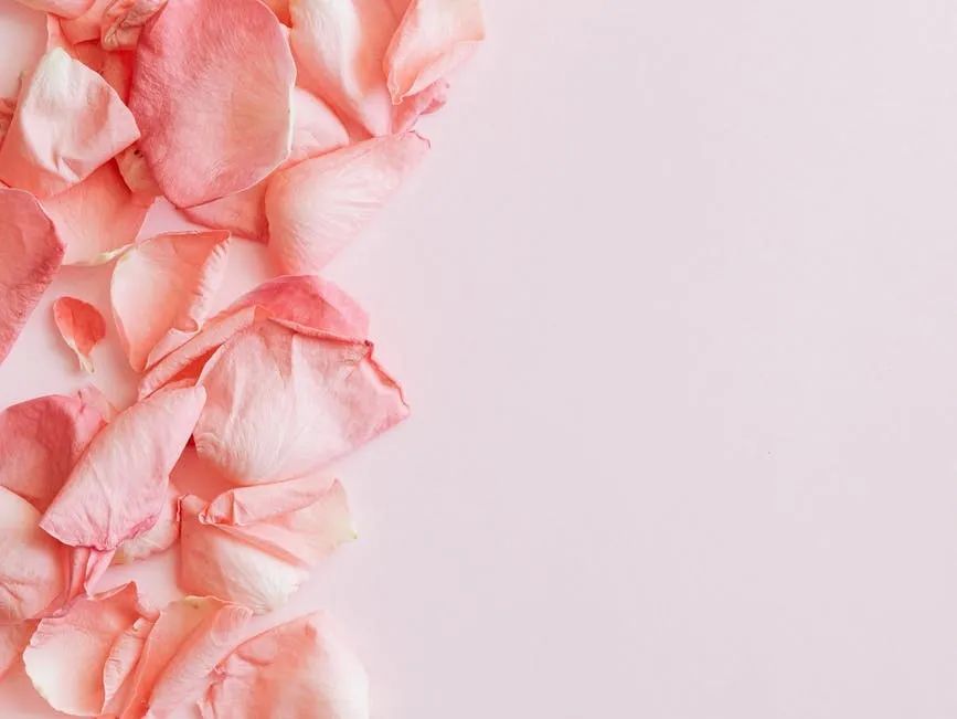 不好意思，本次培訓班只限乘風破浪的姐姐參與