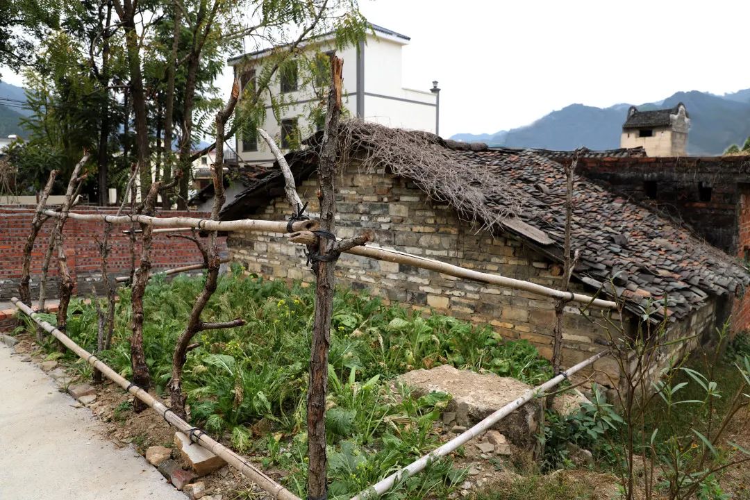 花城控股集團(tuán)