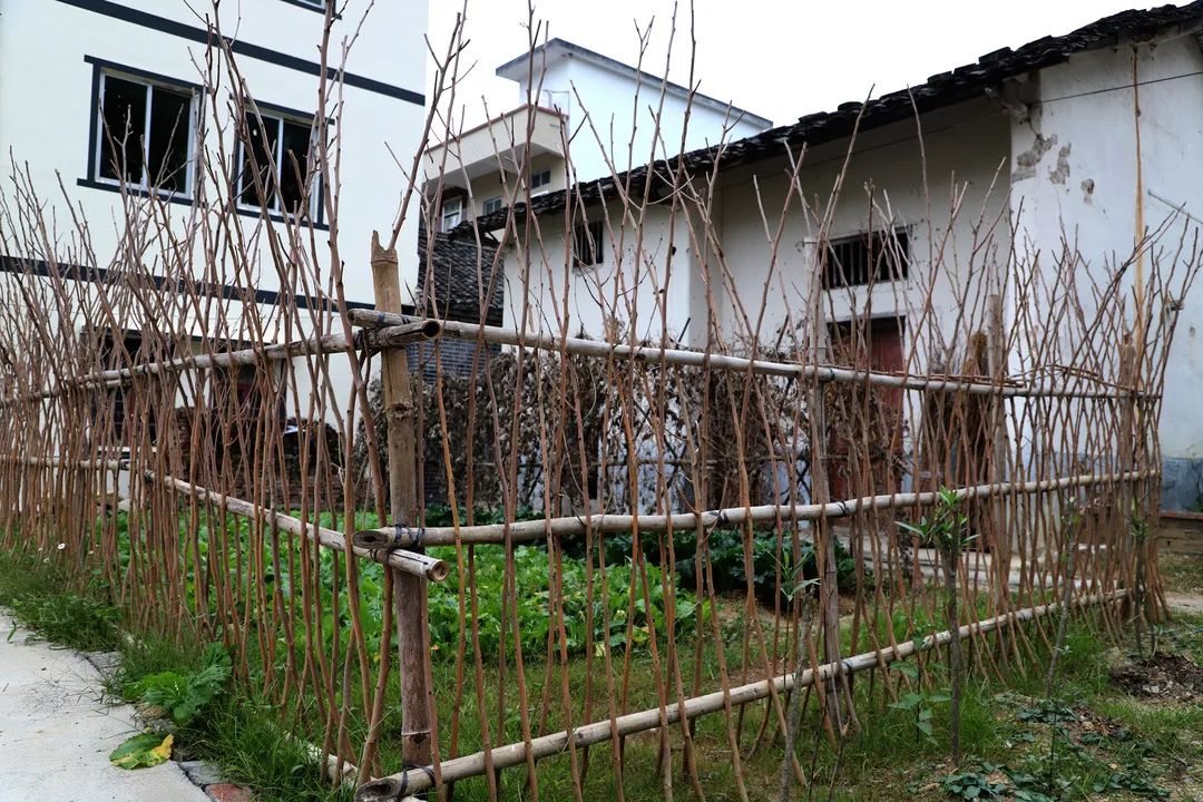 花城控股集團(tuán)