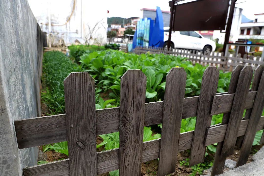 花城控股集團(tuán)