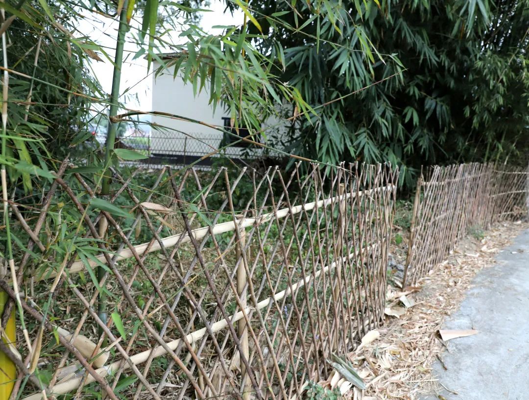 花城控股集團(tuán)