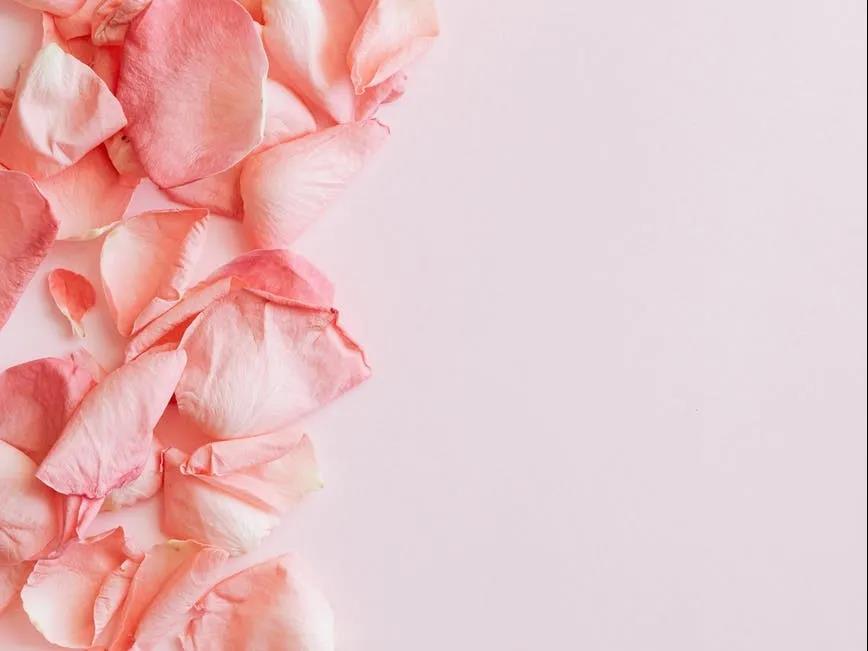 不好意思，本次培訓班只限乘風破浪的姐姐參與