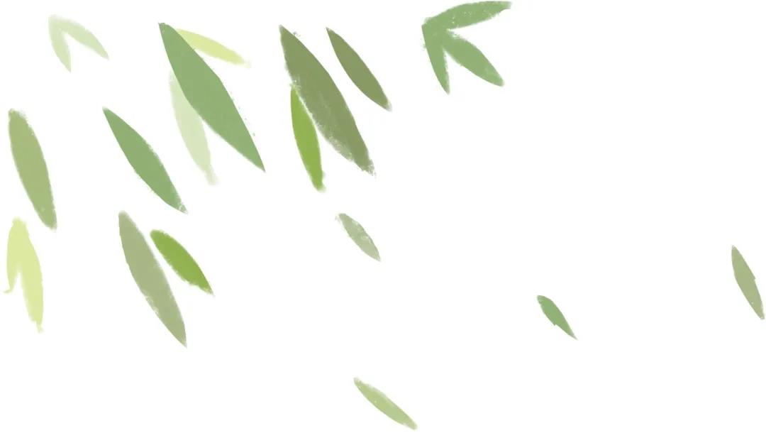 沙寮村民樂見沙寮“開花”